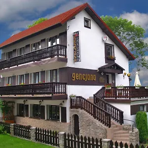 Gencjana Szklarska Poreba